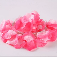 Градиент, 1200 штук