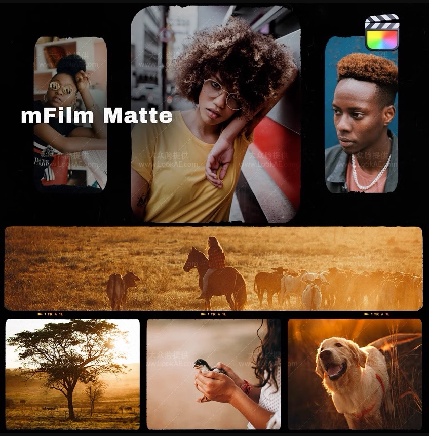 FCPX插件-82组复古怀旧老电影胶片边框遮幅多画面视频分屏插件-天天素材网