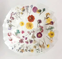 Большие 40 цветов (пластиковые уплотнения без ярлыков)