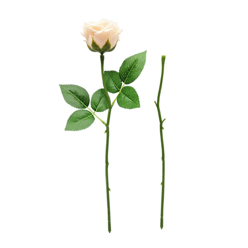 Цветочные стебли солнечные цветочные гвоздики, гидротомия, роза Diy Diy ручной работы цветочных материалов