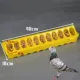 Pigeon cung cấp đồ dùng Máng nhựa inox Máng Pigeon nhựa máng thép máng ăn tự động máng ăn cho gà