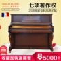 Pleyel 126M8 dành cho người mới bắt đầu chơi nhà dành cho người mới bắt đầu chơi đàn piano gỗ chuyên nghiệp dọc - dương cầm yamaha ydp 164