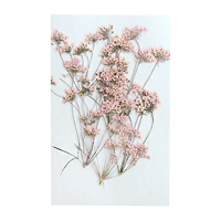 Розовый, кружевное платье