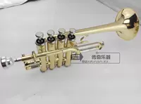 Кэролайн Twinte Instrument Pulling B -Приспособление маленькое четыре -ключ
