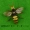 Mô phỏng côn trùng mô hình con vật đồ chơi ong chích ong bướm sừng đơn - Đồ chơi gia đình