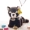 Chính hãng dễ thương Panda mèo đồ chơi búp bê sang trọng búp bê ôm gấu rag búp bê cặp vợ chồng quà tặng sinh nhật - Đồ chơi mềm