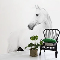 Искусство Спир Современные простые белые обои с неработающими. Большие животные роспись гостиная фона обои обои белые лошади