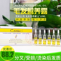 鍙 鍙 鍙 鍙 鍙 鍙 戣惀 鍏 戣惀 鍏 按 鑺濆 鑺濆 鑺濆 ュ 鑺濆 彂铔 嬬槠 嬬槠 ㄤ 澶嶅 澶嶅 澶嶅 澶嶅 姢 鐞 ご 镆 揿 揿 揿 揿敤 ㄧ 敤 敤