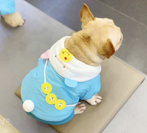 Боевая хлопчатобумажная комната, хлопчатобумажная куртка, борьба с хлопчатобумажным покрытием, домашнее собака, зимняя труба