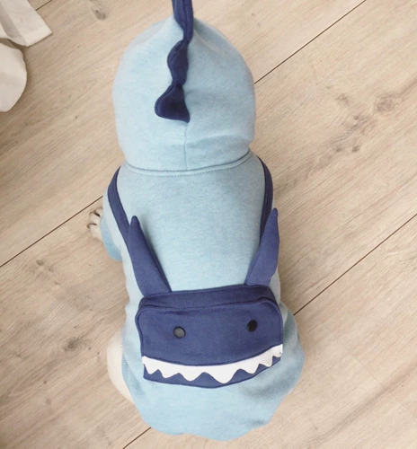 Утепленная толстовка, демисезонный динозавр, домашний питомец