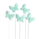 Blue Pearl Butterfly