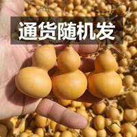 Тыква 4-6 см [крупный бодин случайный] 1
