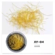 【Xy-04】