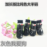 Серый, я люблю собак (в помещении и на открытом воздухе)