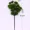 Mô phỏng vẻ đẹp cây thông Luo Han Song kim tuyết tùng cành cây lá bonsai chụp đạo cụ trang trí cây trang trí cảnh quan - Trang trí nội thất