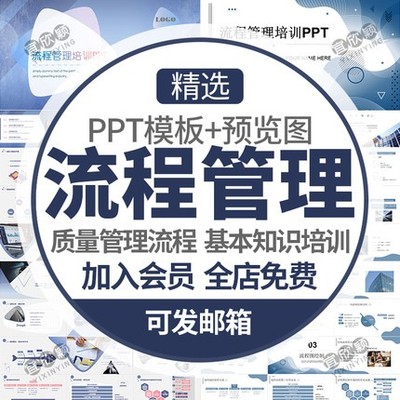 5383企业项目流程管理培训PPT模板护理质量管理会议举报流...-1