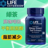 Spot Life Extension Green Coffee Mega Green Tea Egcg чай полифенол
