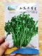 Shandong Old Coriander 50G Оригинальное семя