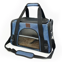 Синий стандарт