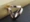 Không khí cao cấp nút thắt nút kim cương sử dụng hai vòng khăn lụa khóa hoang dã đơn giản Hàn Quốc thanh lịch đa chức năng trâm cài ghim cài áo sơ mi nam