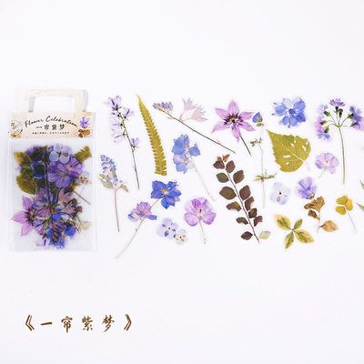 One Curtain Purple Dream (20 Patterns, 2 Each)Muran Sticker package a wide field since depths series PET Botany flowers and plants Hand account source material Decorative stickers 40 Mei Jin