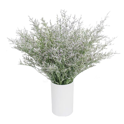 Трава Yunnan Ode to Joy Purple Lover 0,5кг