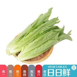 [油麦菜400g(日日鲜)]