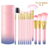 12 pink blue gradient tube brushes