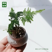 Керамический бассейн Yunzhu Отправить водопоглощающие прокладки водопоглощения