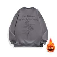 Пыли темно -серые