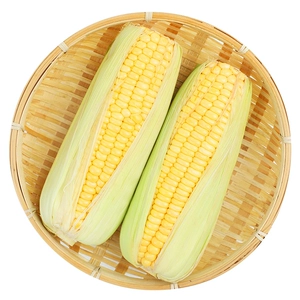 [甜玉米500g]