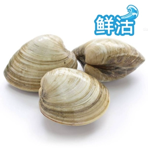 Meibei 500G/Box (Fresh)