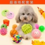 [năm bộ] pet puppy dog ​​toy ball vocal mol cắn đào tạo Teddy gấu con chó con mèo cung cấp - Mèo / Chó Đồ chơi đồ chơi cho chó rẻ