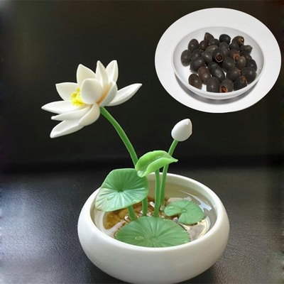 7月28号更新【快爆白菜好价】的图片 第70张