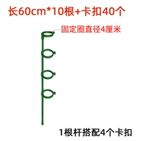 60 см в большом диаметре [10 ветвей] Отправить 40 фиксированных пряжек