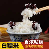 Yimeng Big Girl Белый клейкий рис круглый клейкий рис чистый белый клейкий рис, сажающий клейкий рисовый винный мешок с рисовыми пельмени рисовой ферма растение