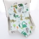 MM SET-PLAID DINOSAUR