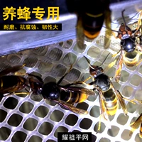 Яозю размножающаяся веб -пчеловодство. Защита от балкона.