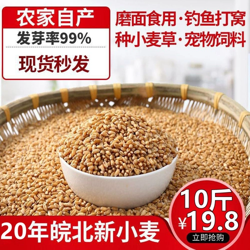 24 года сельскохозяйственного семян семян