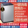 Thần đồng lớn Haier máy giặt tự động thần đồng lớn 8 kg 7 9kg nhỏ hai thế giới EB80M39TH - May giặt máy giặt toshiba