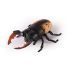 Remote control new beetle-black spots
