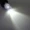 Đèn lồng ô tô và xe máy sửa đổi phụ kiện WISP đèn báo sương mù bật bóng đèn bật đèn LED cắm - Phụ tùng xe máy dây phanh xe máy