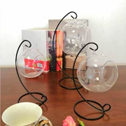 Treo thủy tinh chèn bình thủy tinh Micro cảnh cây mọng nước treo chai Cây củ cải thủy canh - Vase / Bồn hoa & Kệ