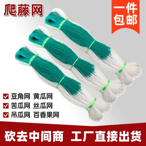 Бобовые рога огурцы горькая тыква растения поднимая виноградную сеть.