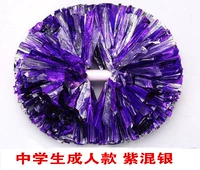 Учащиеся средней школы фиолетовое смешанное серебро