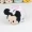 Búp bê Tsum tsum Minnie Xiaofei như Donald Duck Daisy Xiaofei thích đồ chơi sang trọng nam mặt dây chuyền điện thoại di động lau - Đồ chơi mềm
