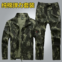 740 Black Rid Elastic Set Set