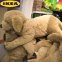 IKEA Gusi Geden con chó nhỏ màu vàng con chó lớn màu vàng con hai ha đồ ​​chơi sang trọng con chó đồ chơi lợn năm cô gái - Đồ chơi mềm đồ chơi trẻ em