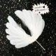 10 больших белых перьев крылья 10