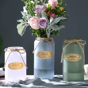 Bình thủy tinh màu mờ phong cách châu Âu bình hoa nhà khô hoa thủy canh cây lily trang trí thủ công hoa - Vase / Bồn hoa & Kệ